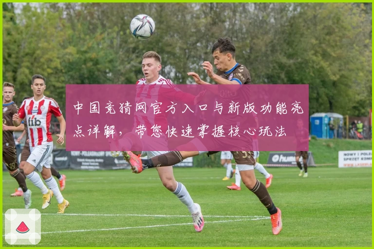 中国竞猜网官方入口与新版功能亮点详解,带您快速掌握核心玩法