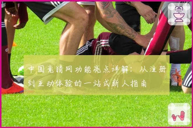 中国竞猜网功能亮点详解：从注册到互动体验的一站式新人指南