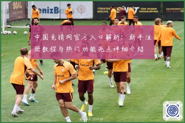 中国竞猜网官方入口解析：新手注册教程与热门功能亮点详细介绍