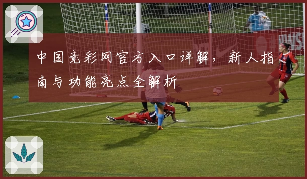 中国竞彩网官方入口详解，新人指南与功能亮点全解析